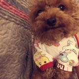 SuSu苏苏苏有理