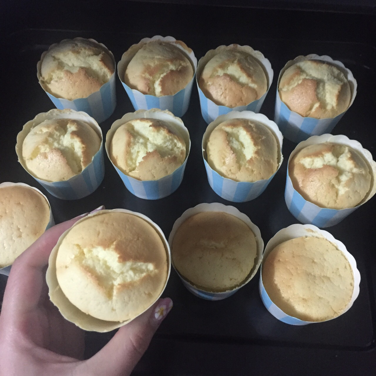 乳酪戚风小蛋糕