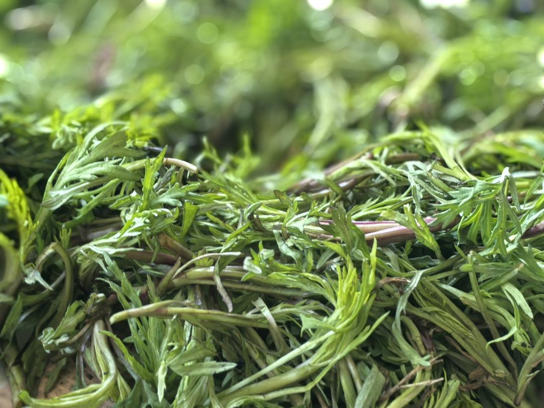 柳蒿芽炖土豆