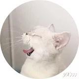 随便吃123