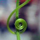 璐璐violin