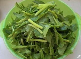 Baby Mustard Tips 1 bunch 小麦部社区电商