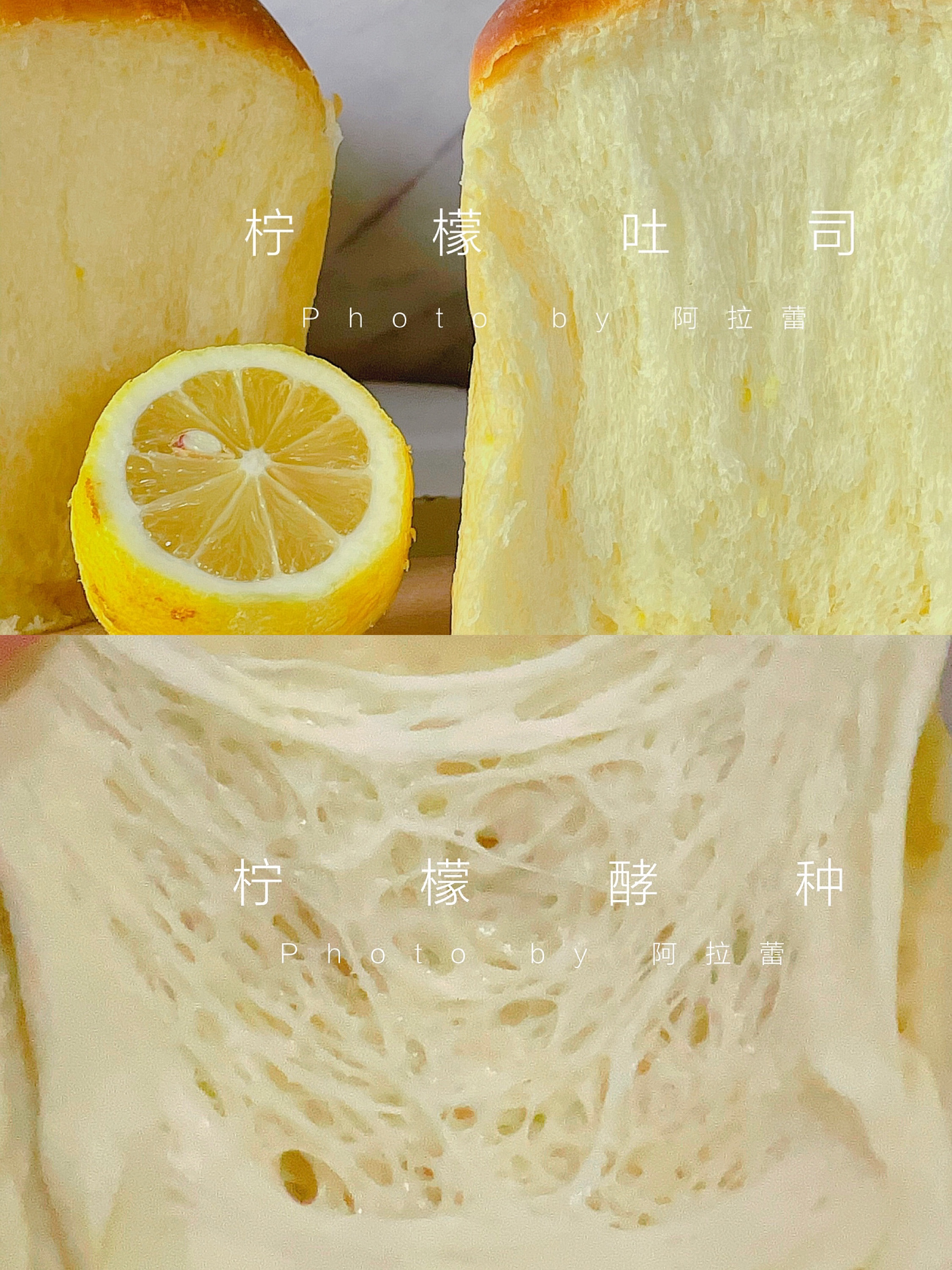 『🅝🅞 036 』柠檬酵种｜附详细做法