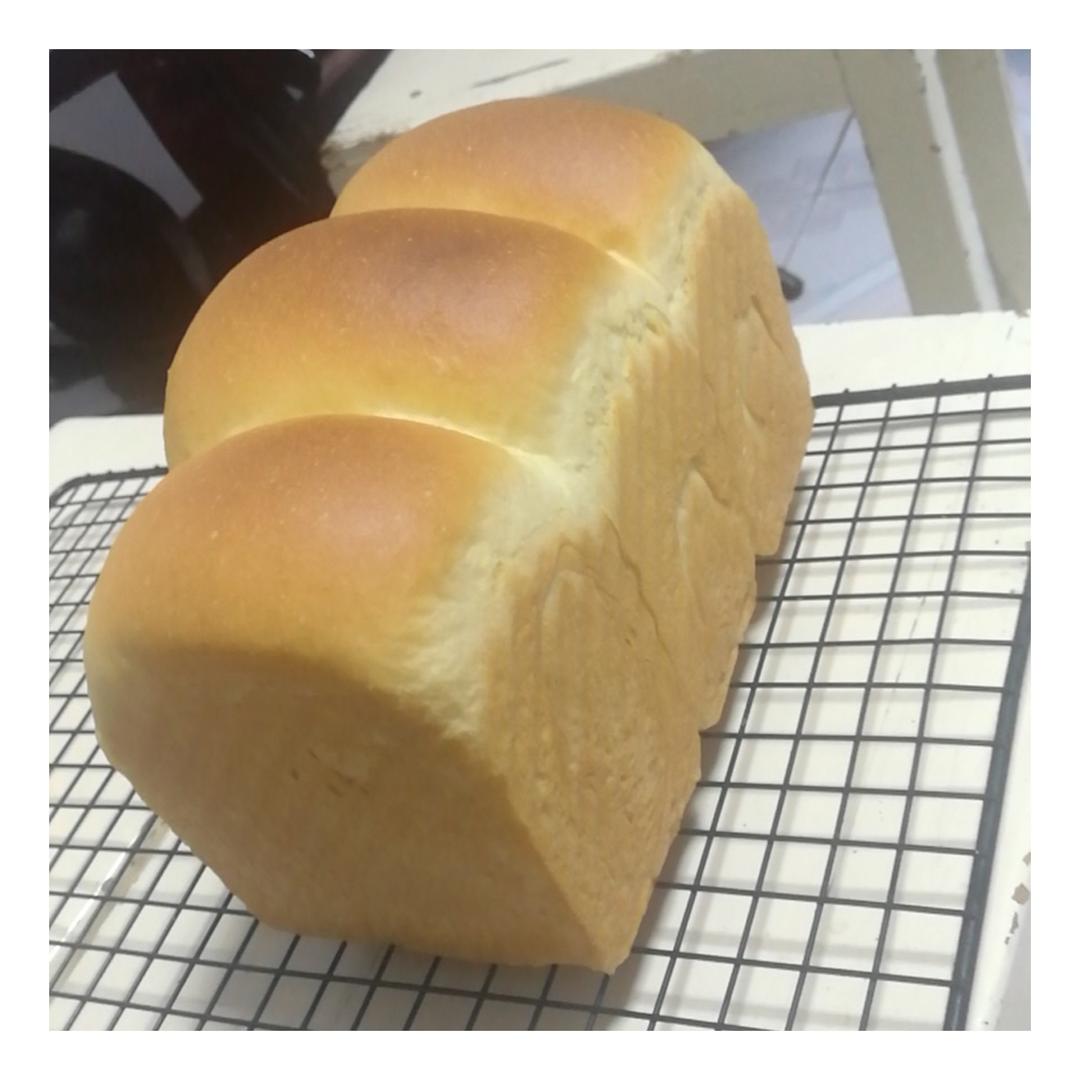 北海道巨蛋吐司