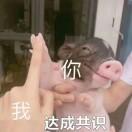 恶女花魁橘子酱