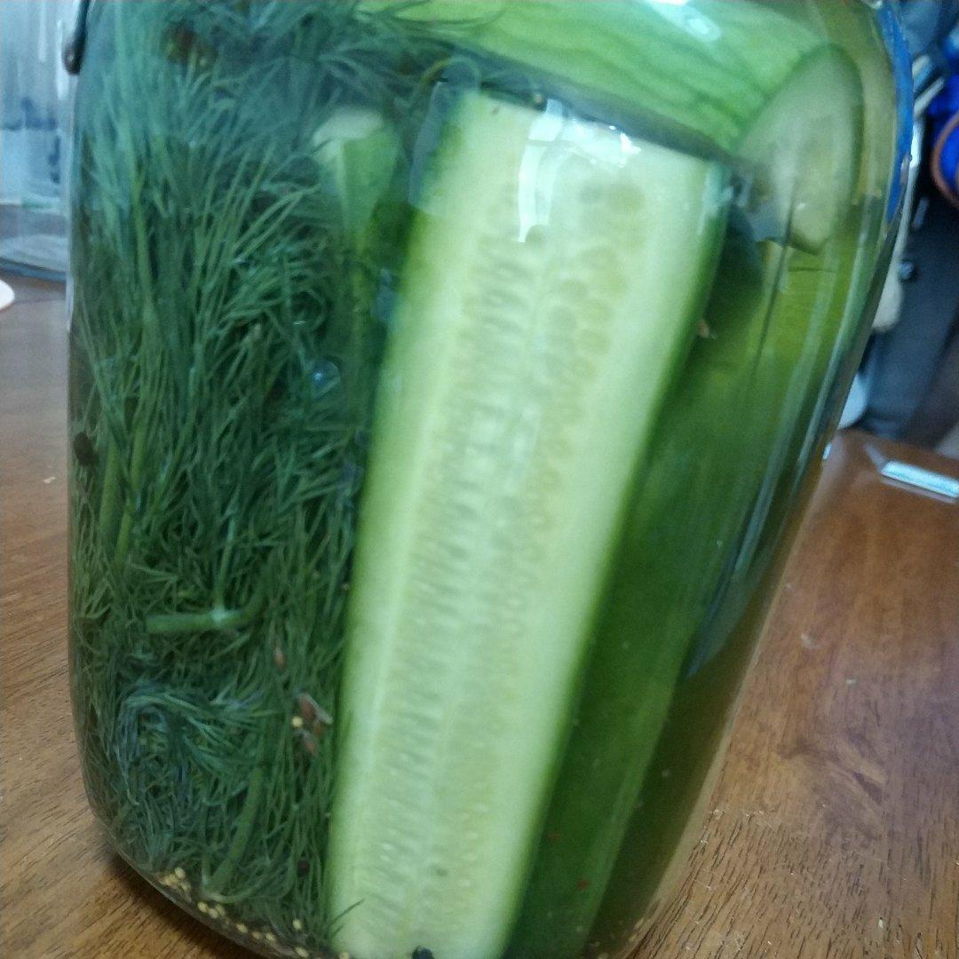 【健康泡菜】美式酸黄瓜Dill pickles