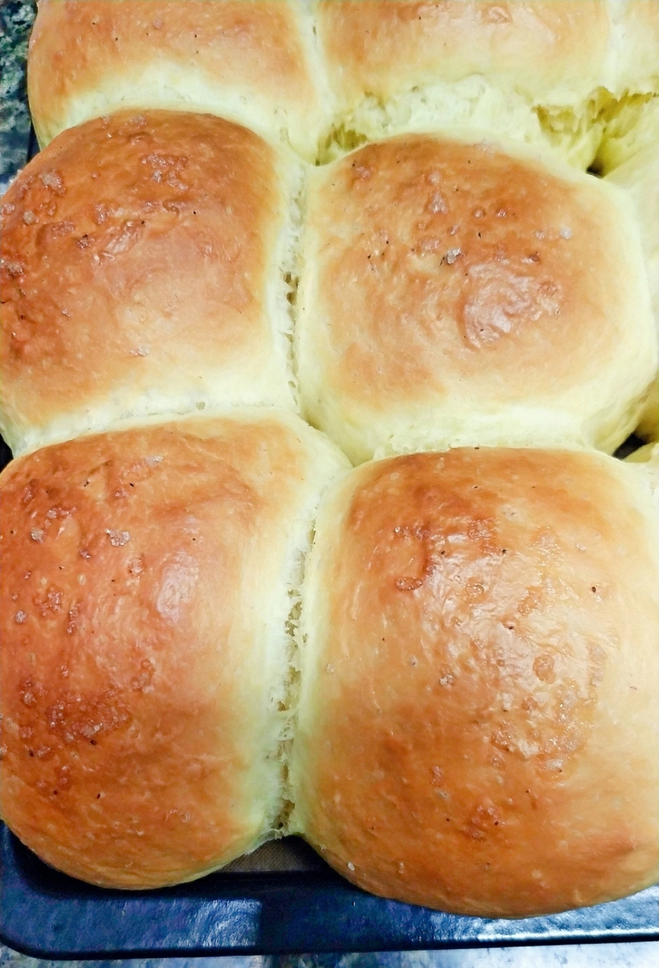超软淡奶油小面包（餐包），一次发酵柔软拉丝，消耗淡奶油，持久柔软隔天不变硬