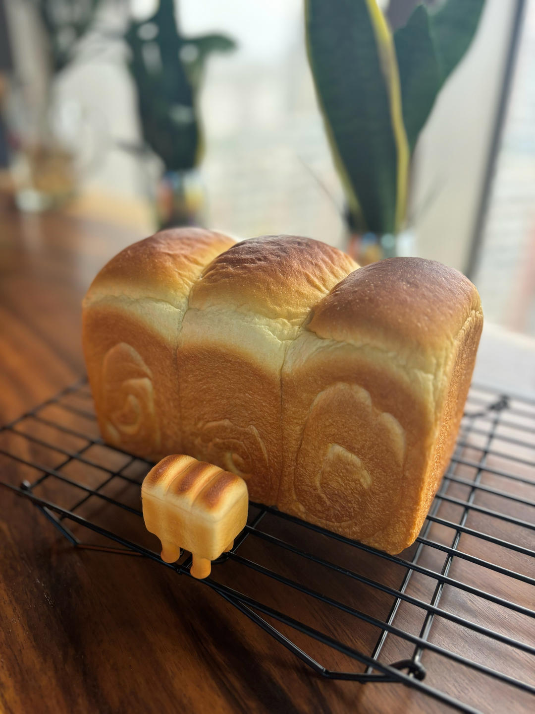 春来吐司