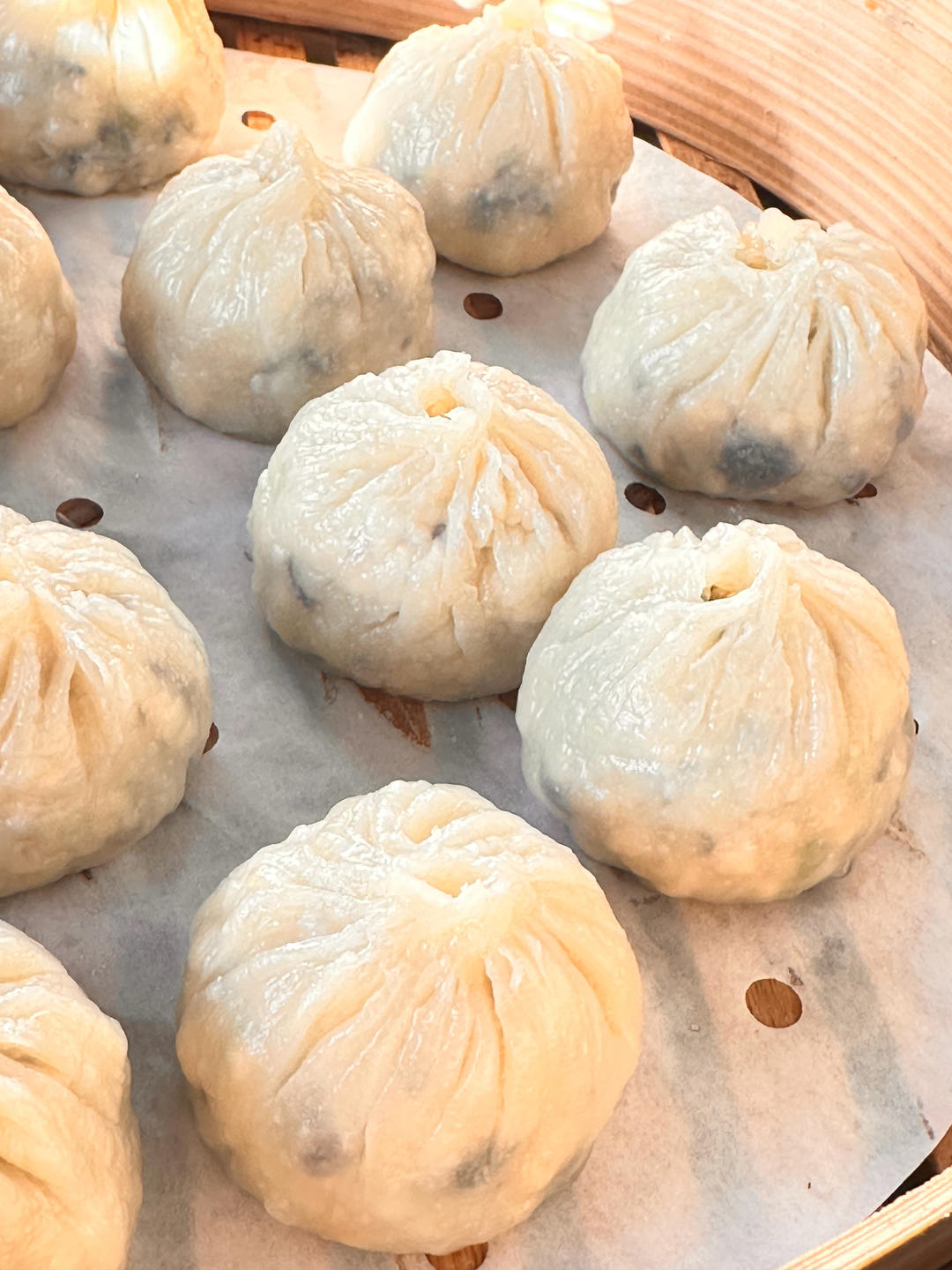 包子嘟妈做的无肉也欢两款素馅烫面包子