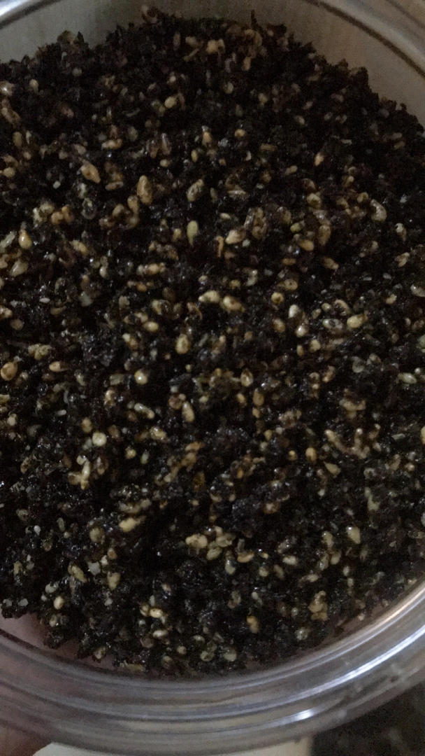用紫菜做海苔【芝麻海苔碎】超级简单