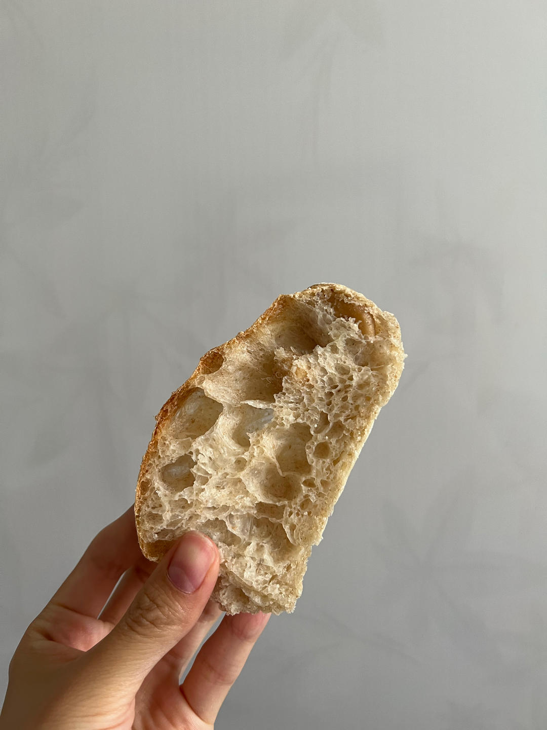 免揉高含水夏巴塔(花椒腰果)