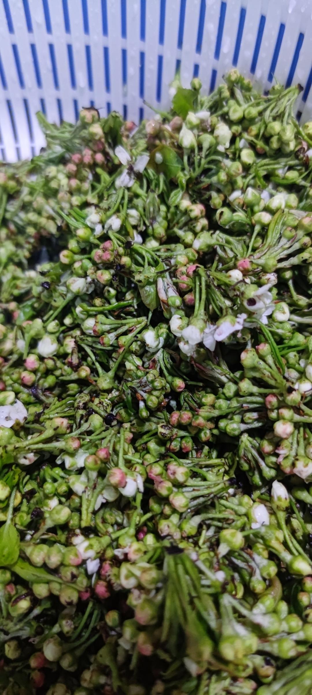 只属于春天的菜——棠梨花（山毛野菜）的做法