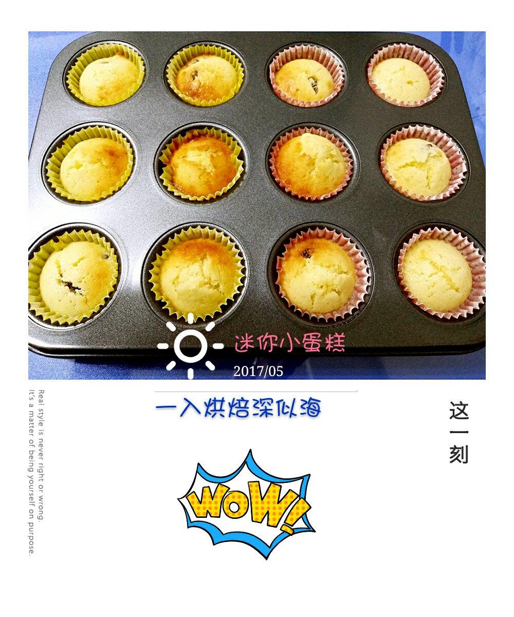 0失败的葡萄干麦芬