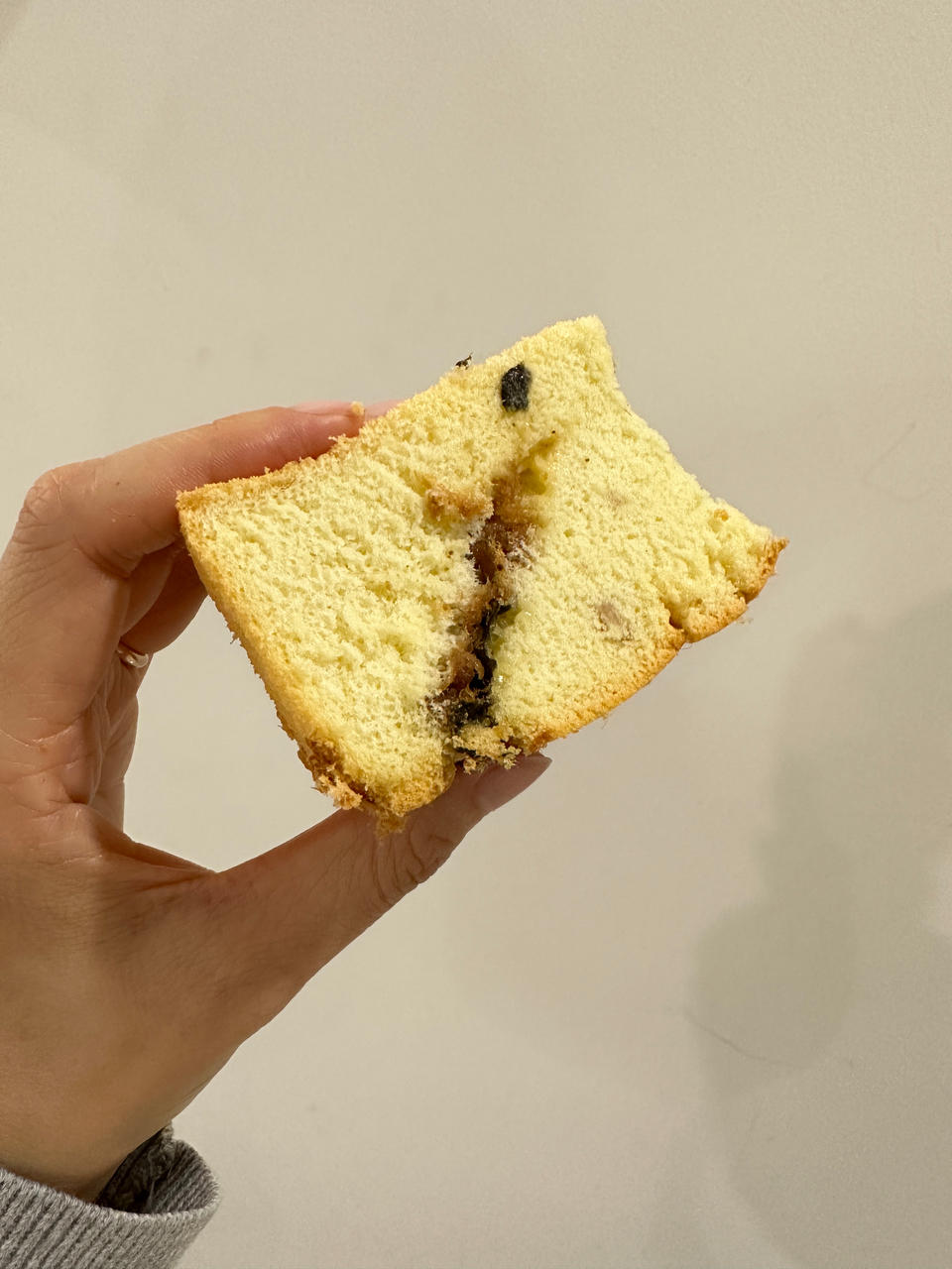 万用方子‼️口感滋润的酸奶&肉松沙拉夹心小蛋糕🍰