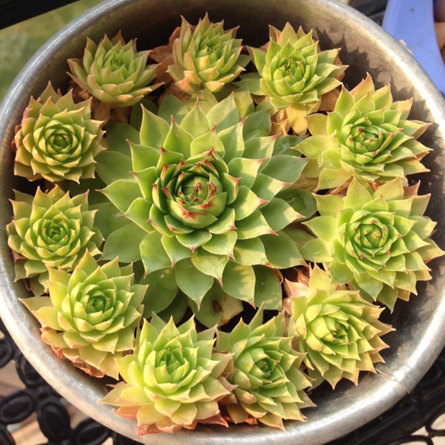 大家一起分享暖人心の小物吧~