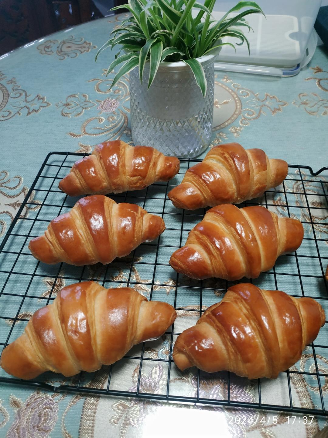 超级详细的可颂牛角包教程