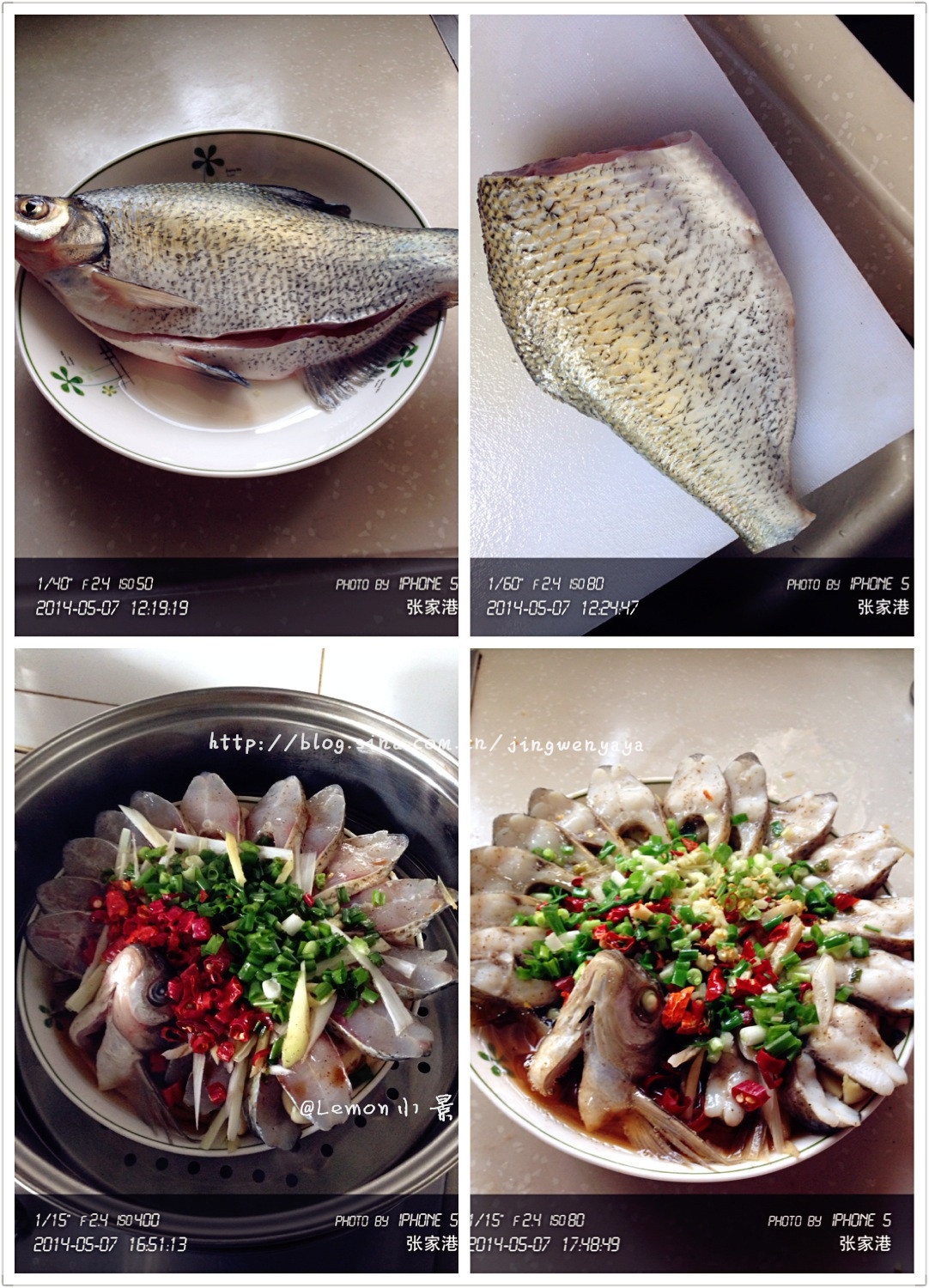 孔雀开屏鱼