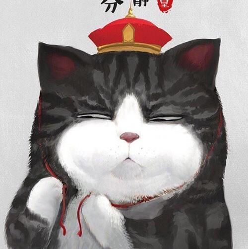 喵大人dan