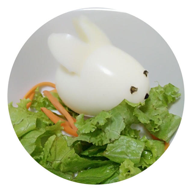 小兔子鸡蛋