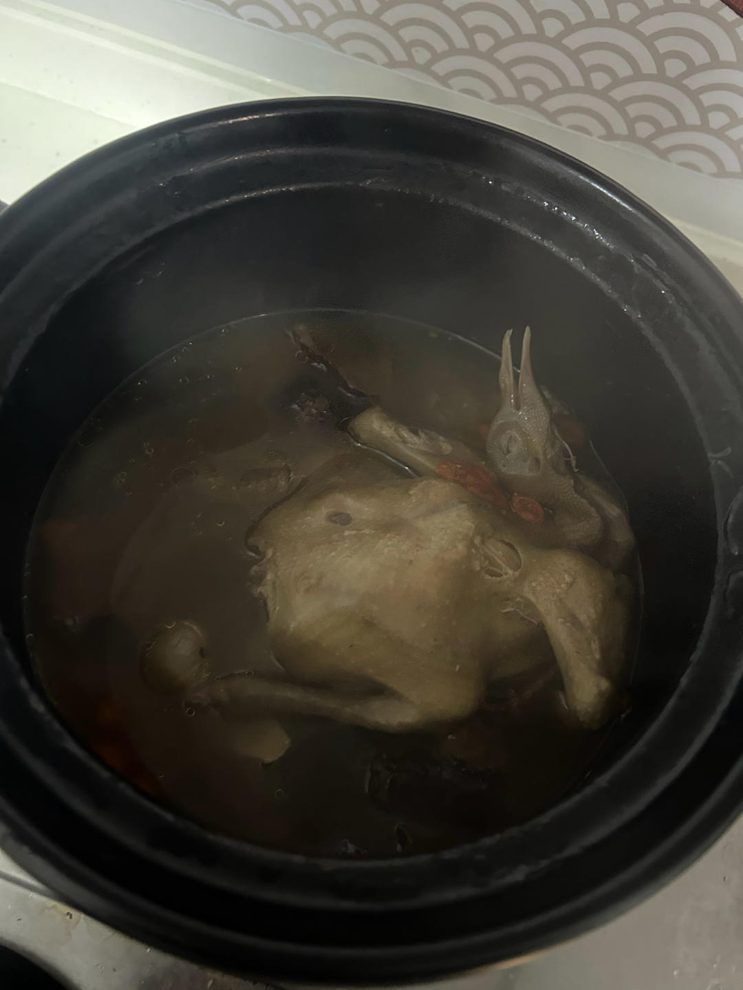 零失败养生鸽子汤