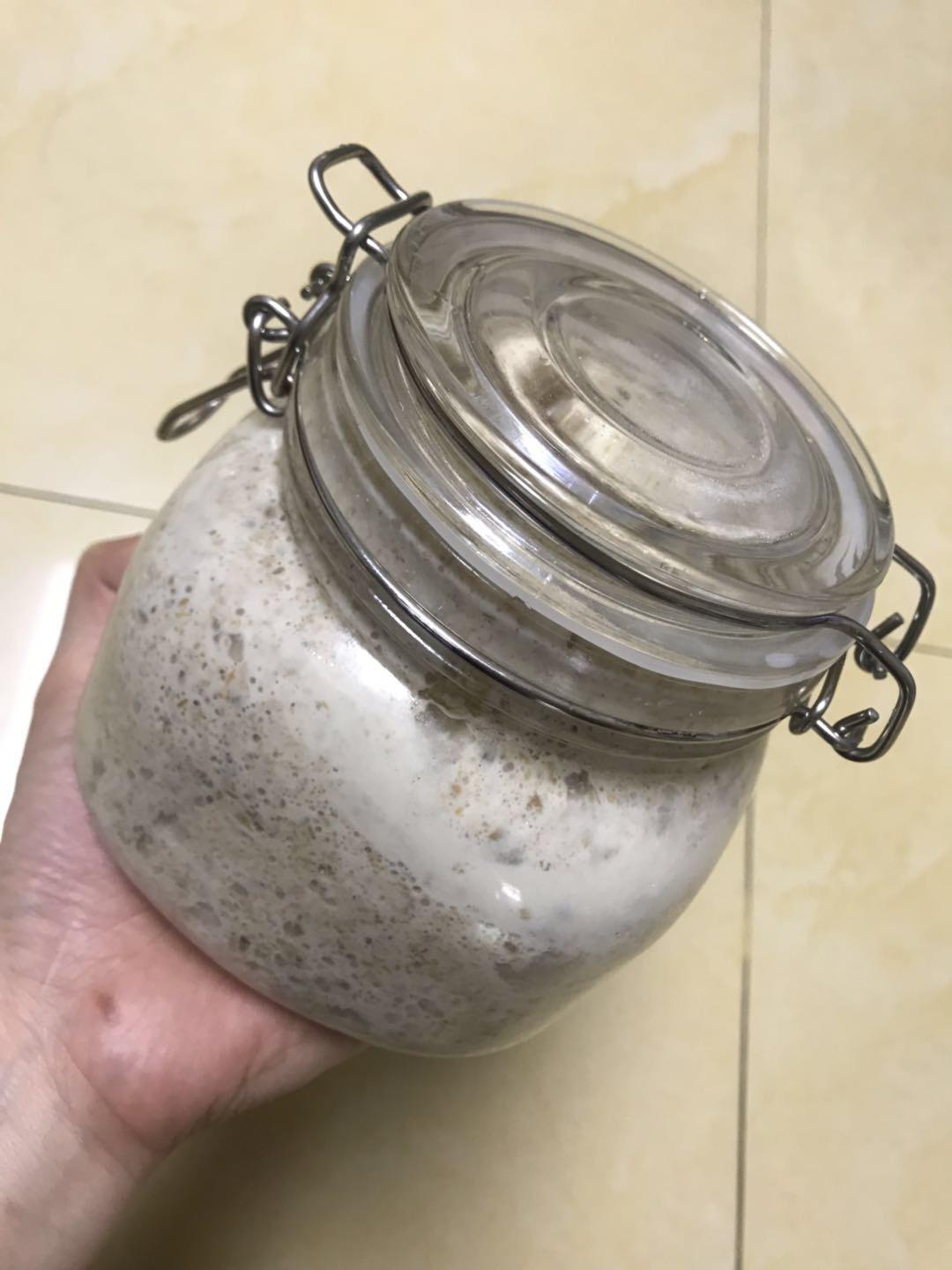 天然酵母宝宝养成记