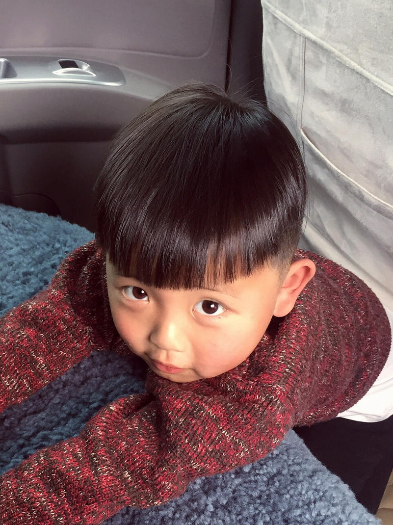 花花草草请别踩