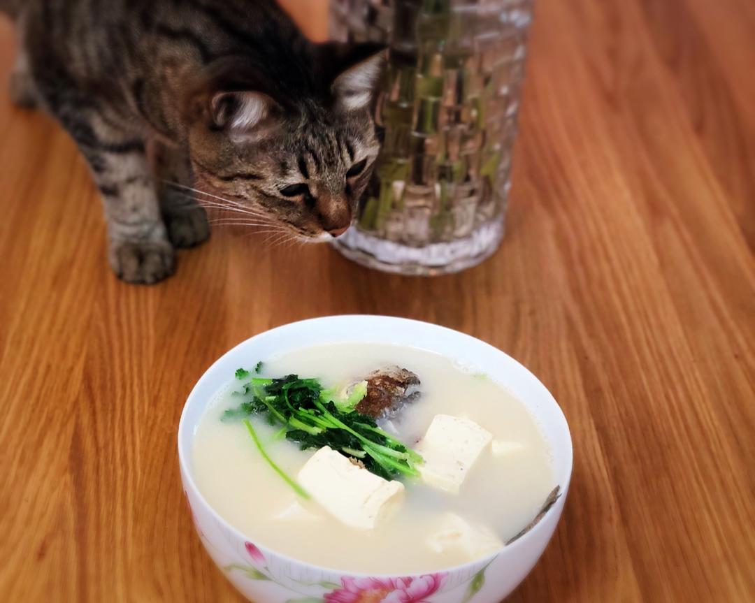 豆腐鲫鱼汤