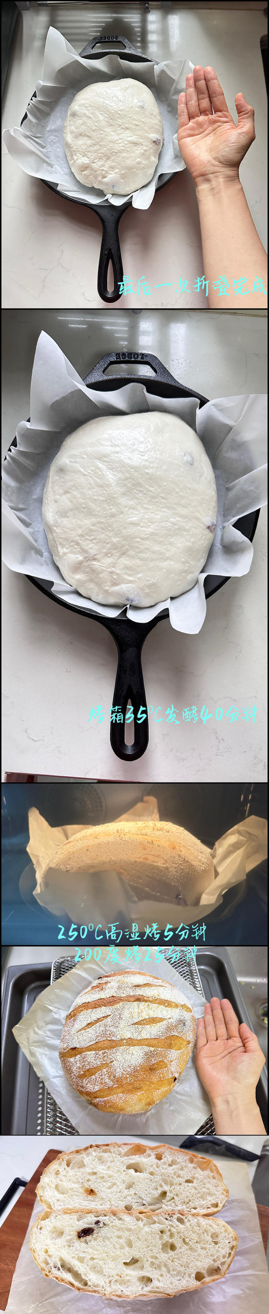 欧包的秘密（免揉/大孔洞/核桃/超简单）