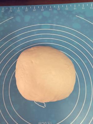 葡萄干奶酥面包的做法 步骤3