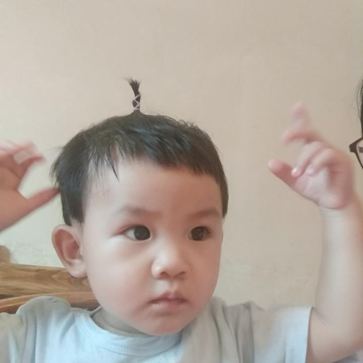 家有两猪宝贝