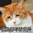 酱油拌一切