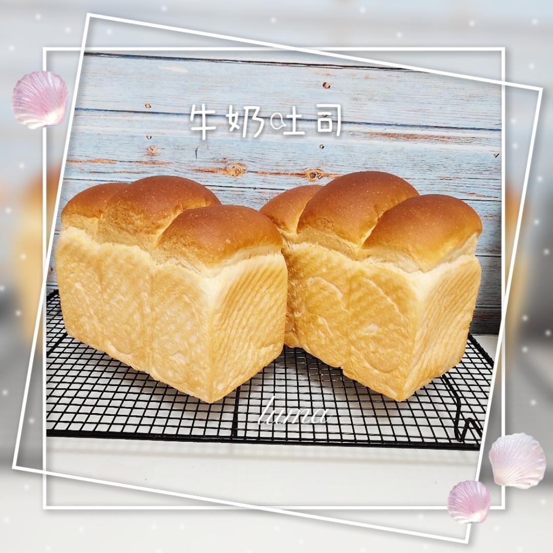 ★聪慧的宝贝★