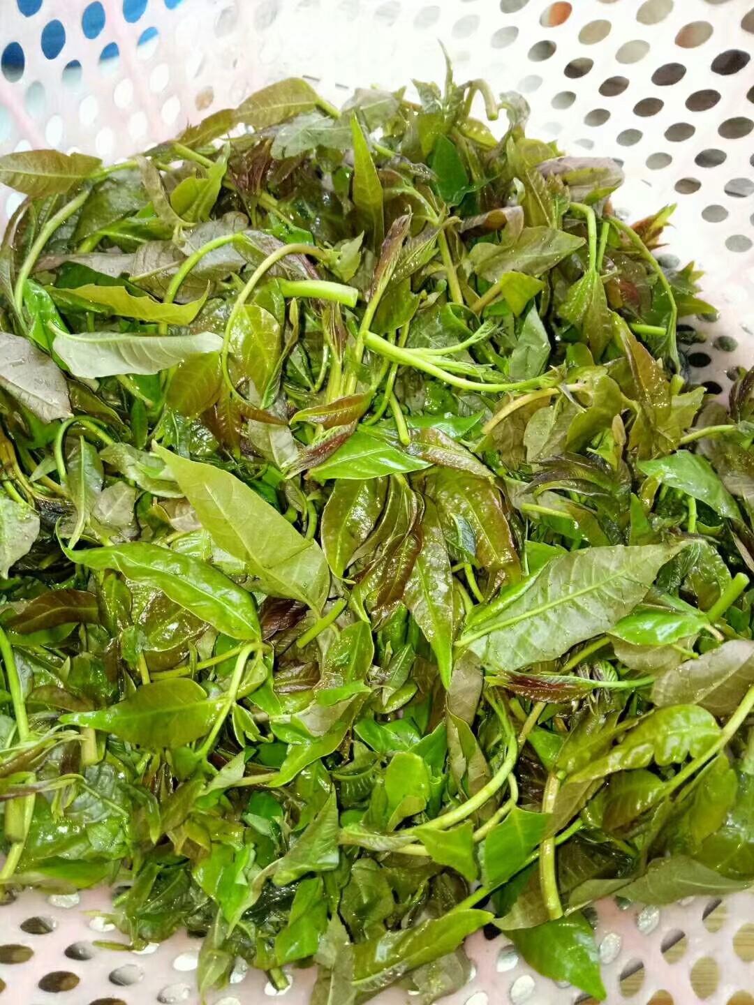 美味香椿的吃法