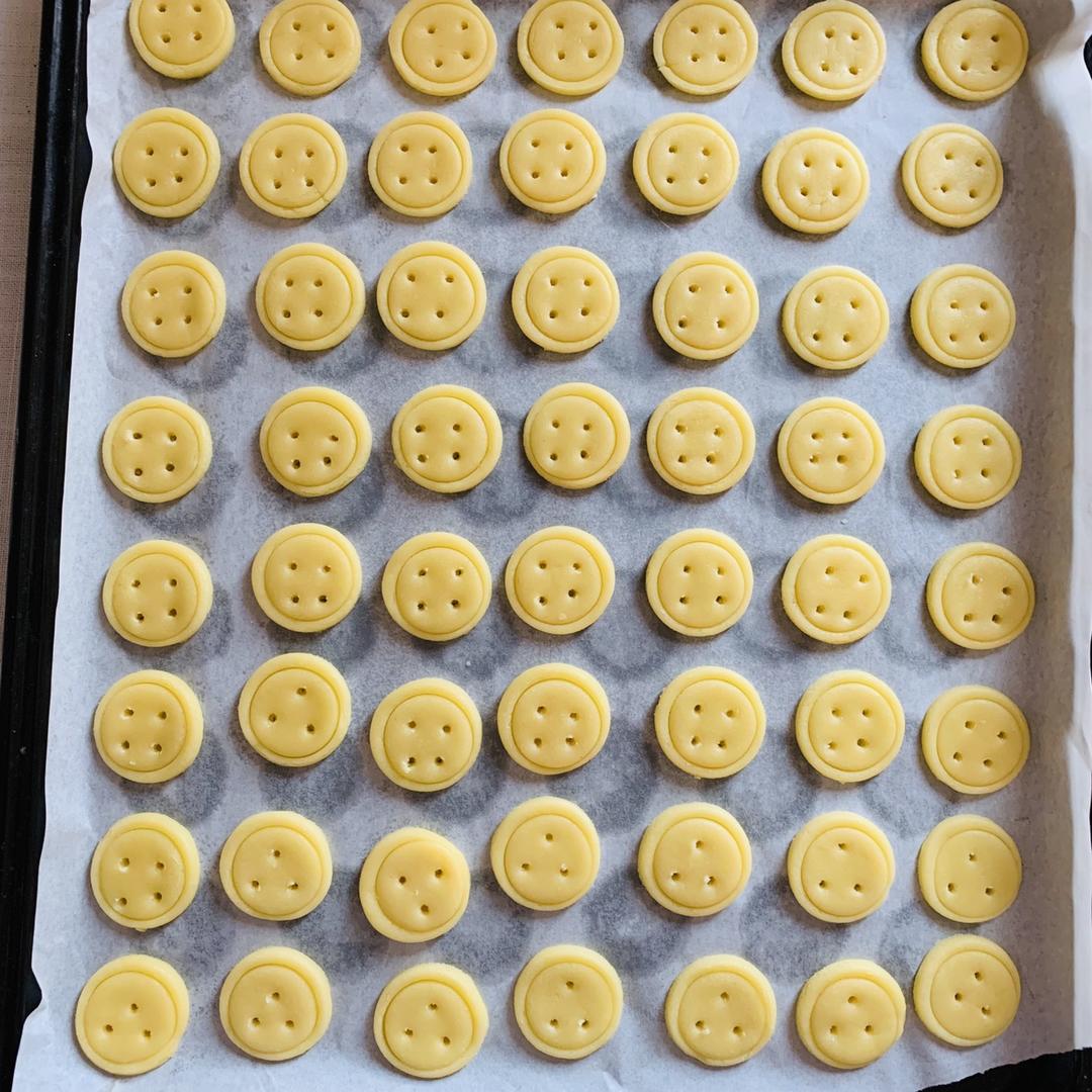 纽扣饼干┃萌到没朋友