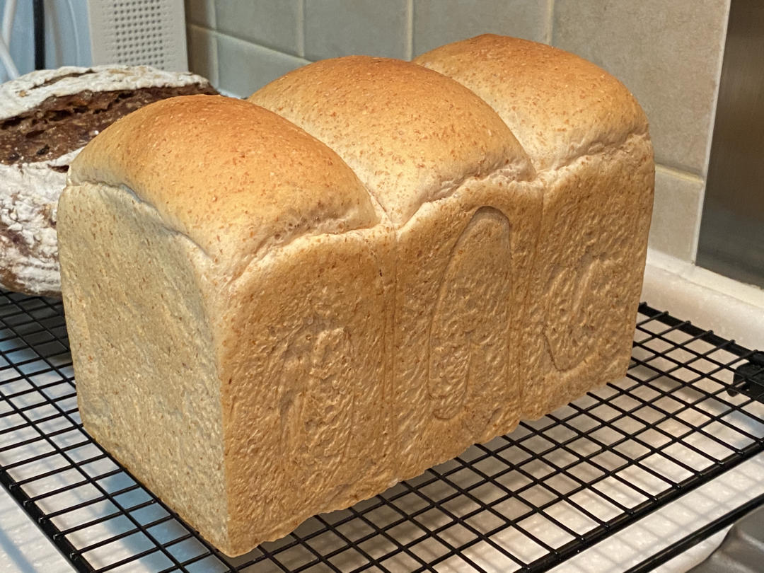 直播100个吐司7:直接法之全麦吐司～水合法（有助于快速出膜）