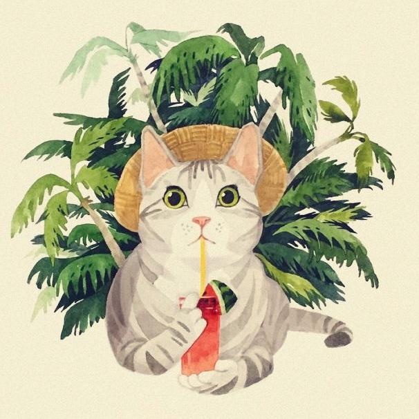 西瓜汁的夏天