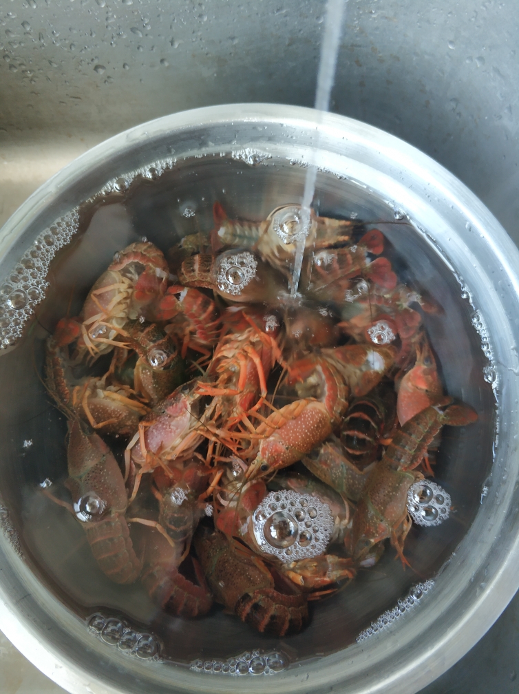 小龙虾盖饭—小朋友也可以吃哦的做法 步骤4