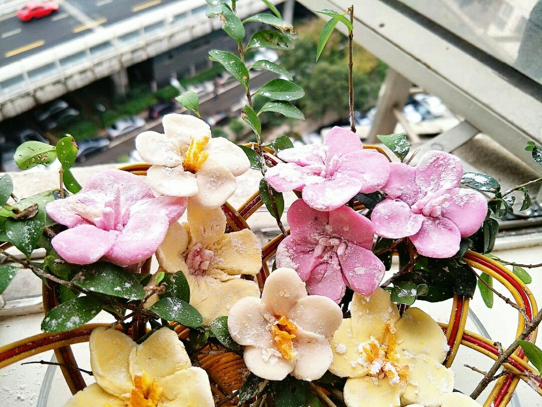 桃花汤圆