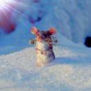 微信用户_icZM_eqru