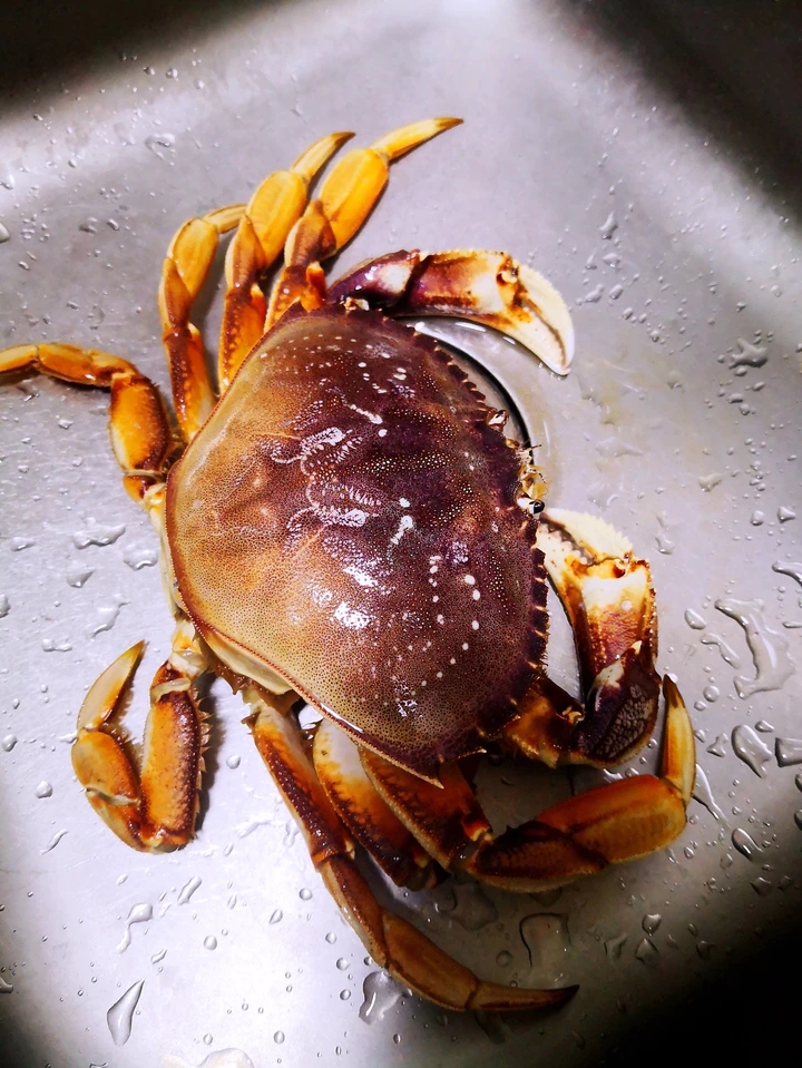 葱油梭子蟹