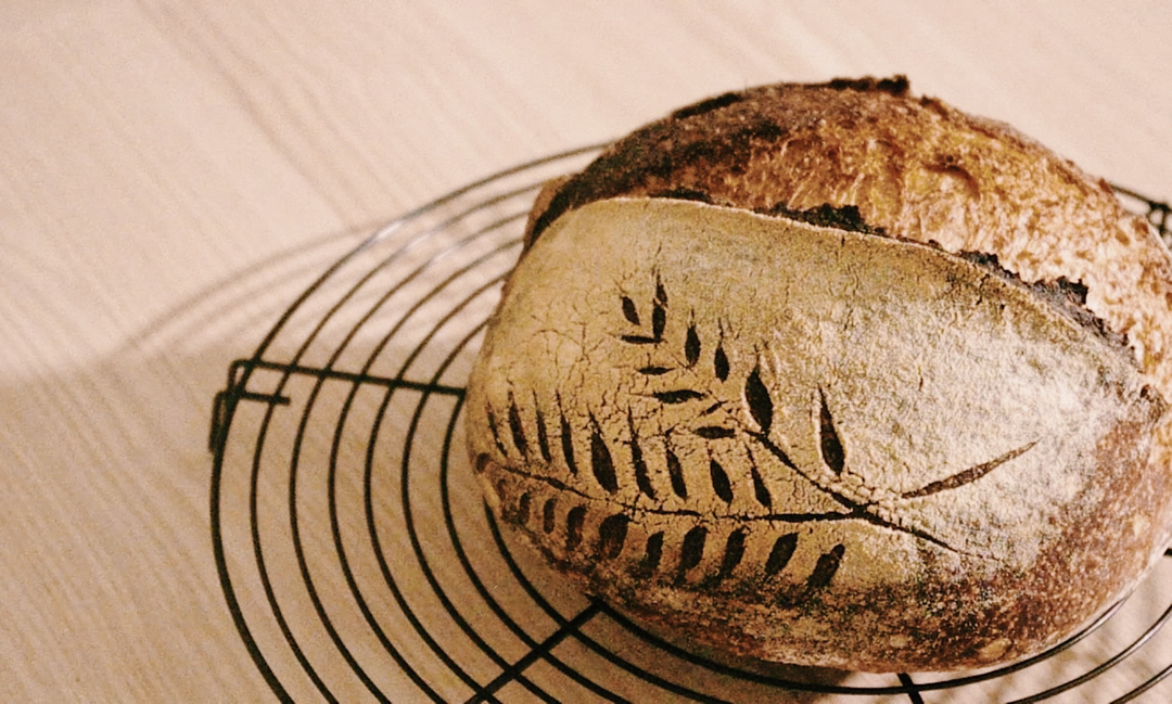天然酵种基础乡村面包Basic Country Bread at Tartine