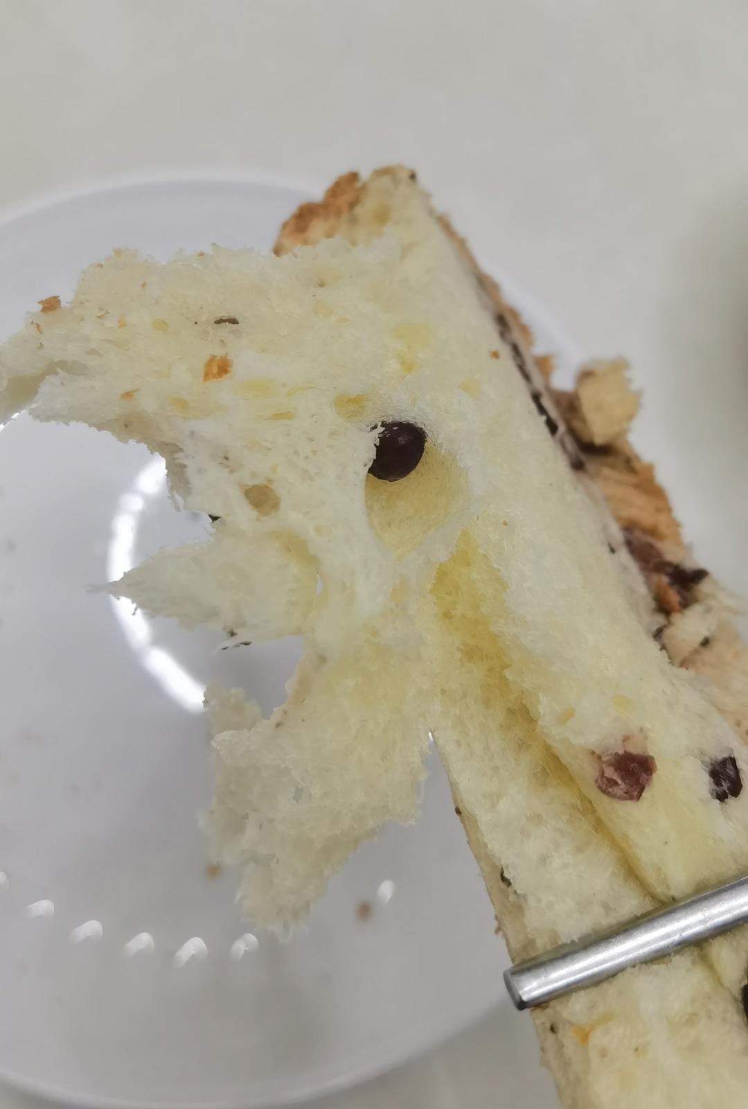 波兰种——最详细的状态攻略