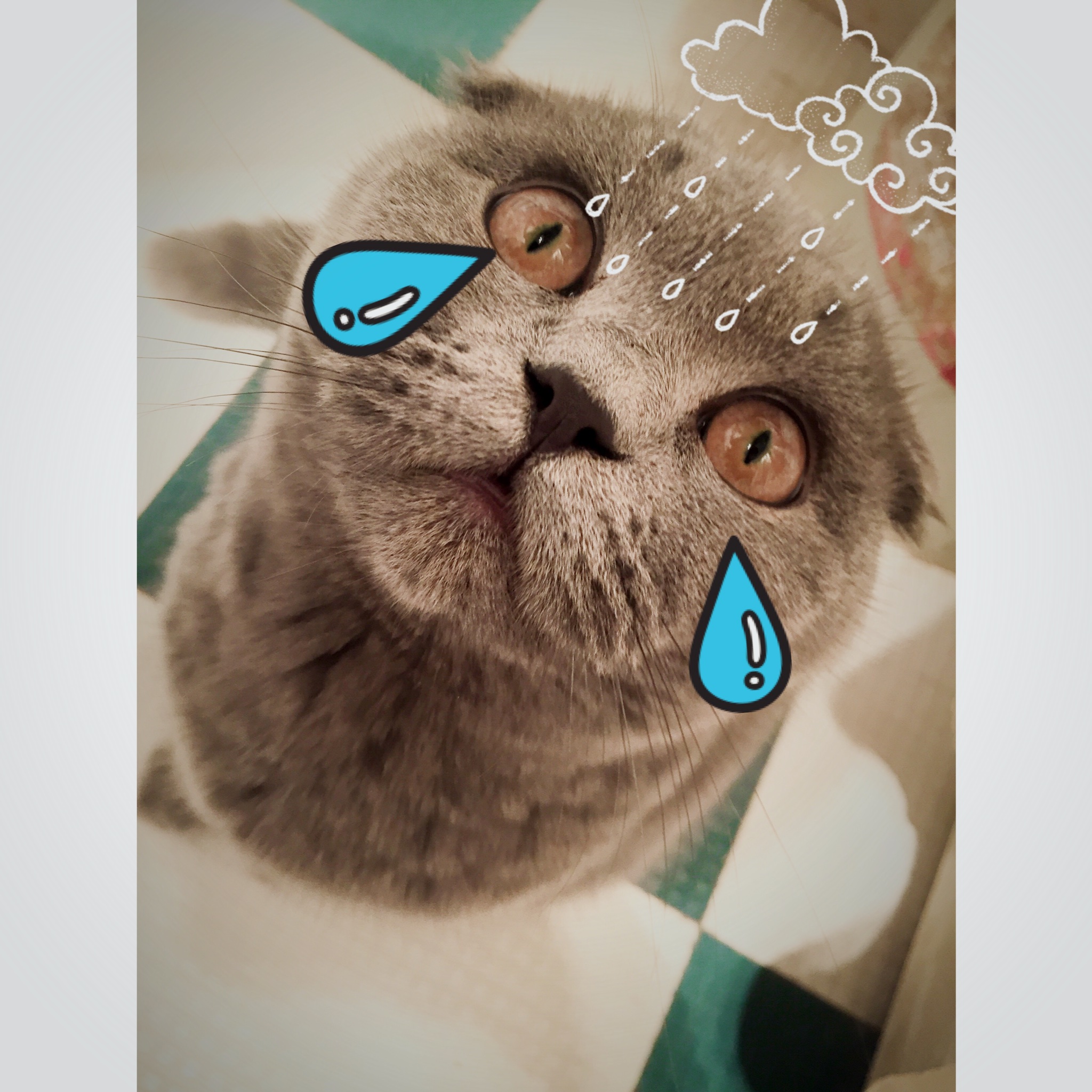 8unnyyy