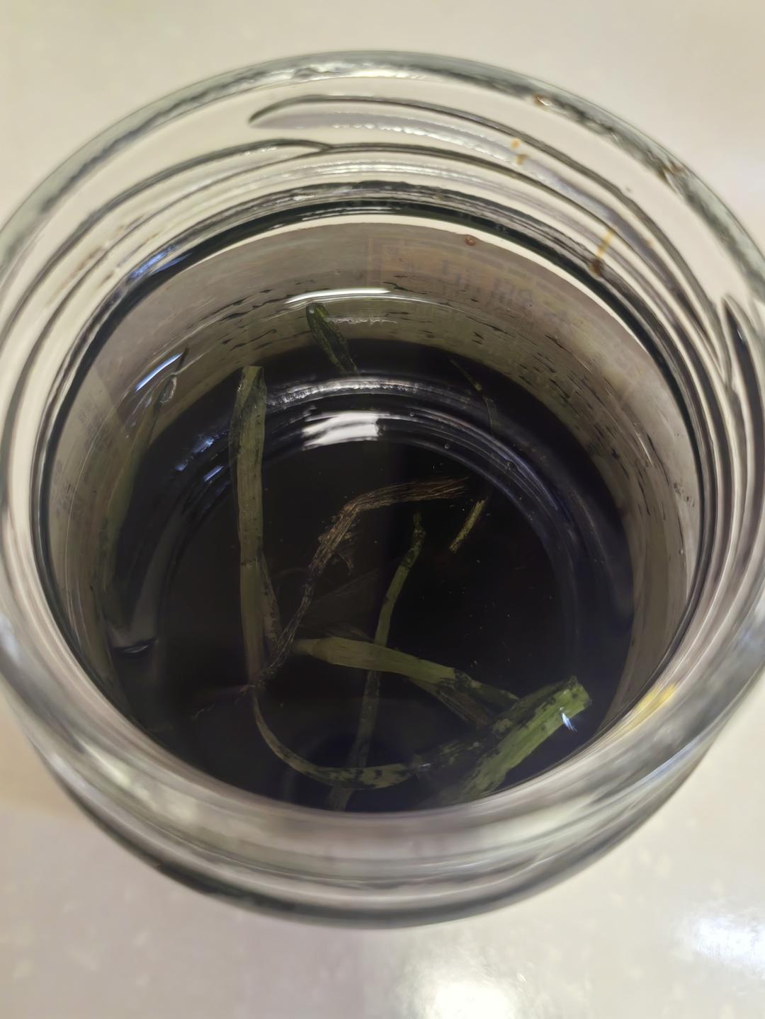 葱油的做法