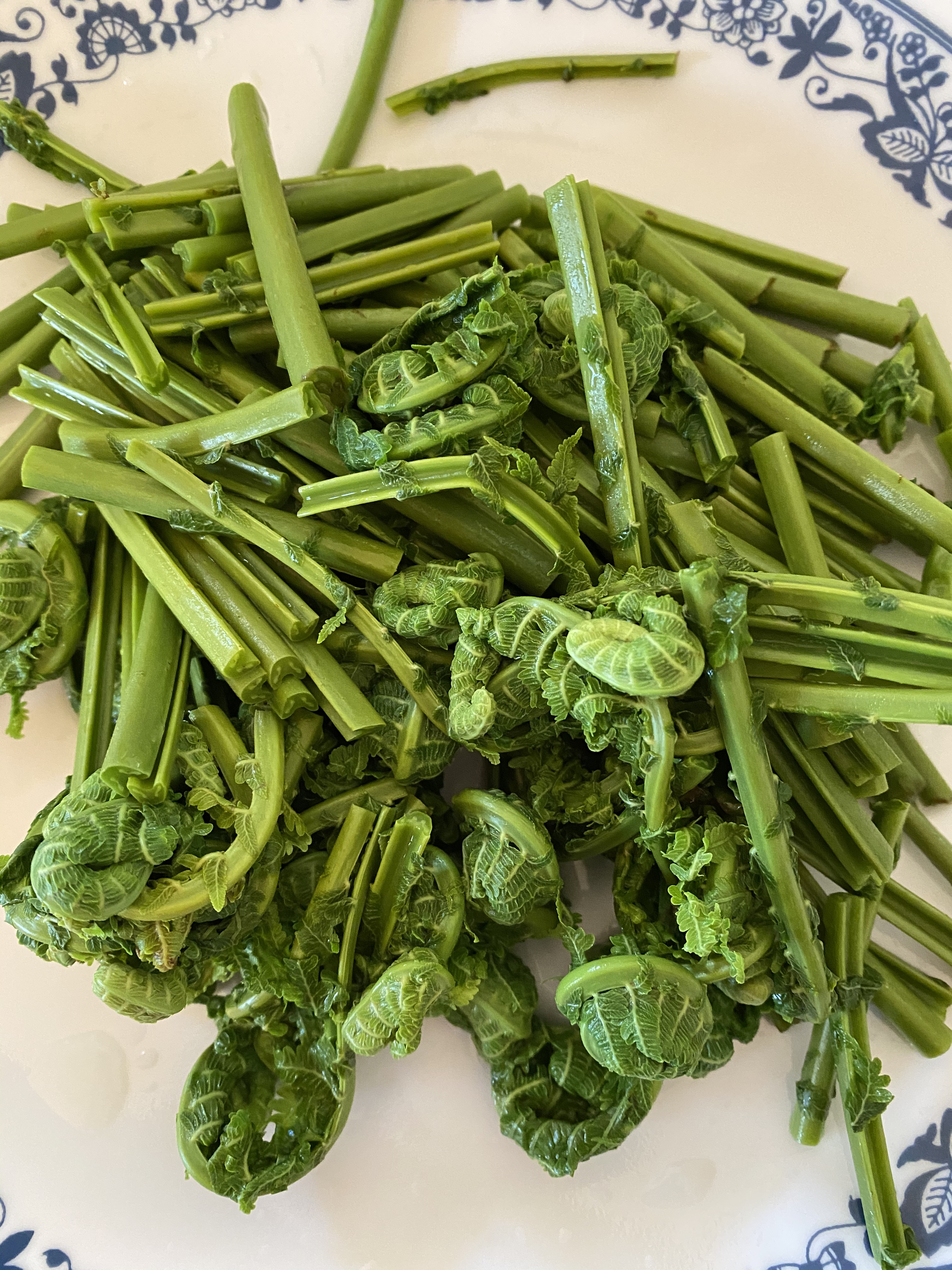 【食在春天】蕨菜三吃-炒，晒，拌的做法 步骤8