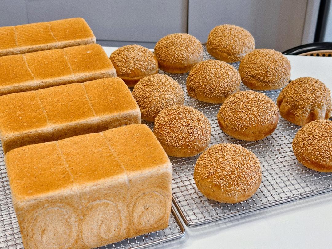 【有奖跟做】70%全麦吐司🍞（烫种➕波兰种）