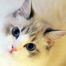 手机用户3191_6sn5