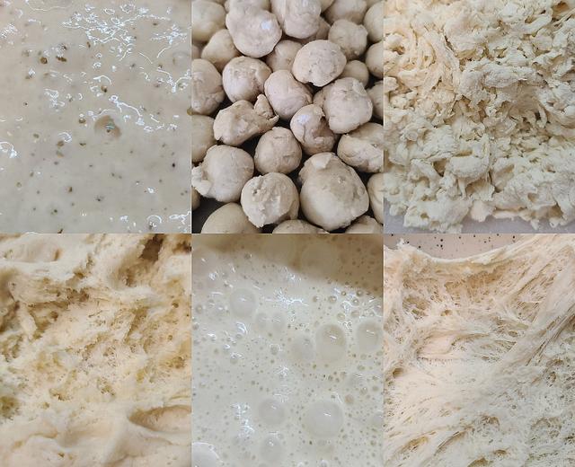 |老面|中种|波兰种|汤种|烫种|鲁邦种|Biga种|酒种|酸种|酸奶种| |老面|中种|波兰种|汤种|烫种|鲁邦种|Biga种|酒种|酸种|酸奶种|