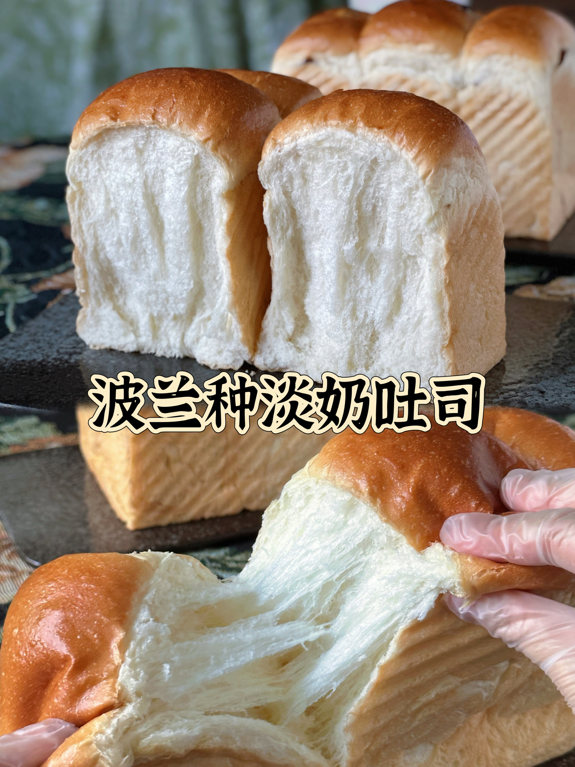 面包🍞️🍕️🍔️🍔️的封面