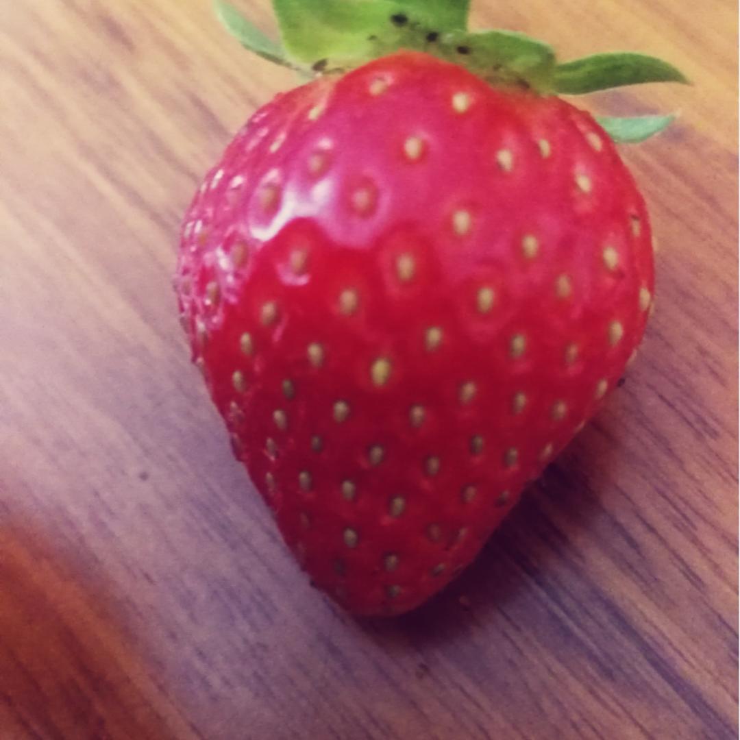 惠玩